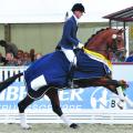 First Ampere Excels at 2016 World Young Horse Championships