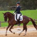 WA Novice State Dressage Champion